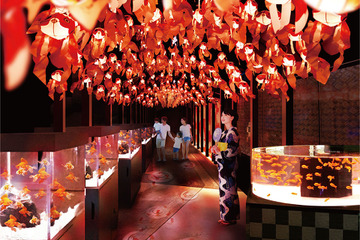 【入館券プレゼント】すみだ水族館の夏「お江戸の金魚ワンダーランド」（応募締切7/31） 画像