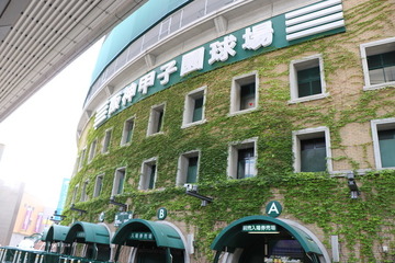 【高校野球2016夏】投手・寺島が1失点完投、履正社2回戦進出 画像