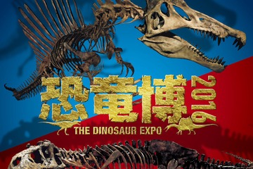 二大肉食恐竜を展示「恐竜博2016」大阪9/17-1/9 画像