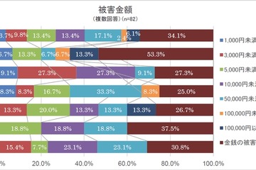 ネット詐欺の高額被害は10代が最多…13％が10万円以上 画像