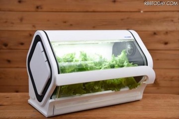 親子一緒にIoT水耕栽培、家庭用キット「やさい物語」 画像