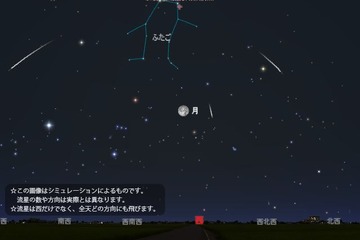 なんとか見たい「ふたご座流星群」観察チャンスは？12/13夜から明朝に期待 画像