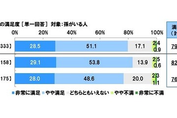 シニアの孫消費、昨年上回る…1年の平均金額は約12万 画像