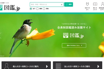 生物専門図鑑の読み放題サイト「図鑑.jp」植物、野鳥図鑑を公開 画像