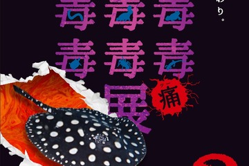 毒毒毒毒毒毒毒毒毒…「もうどく展2」サンシャイン水族館3/16-6/25 画像