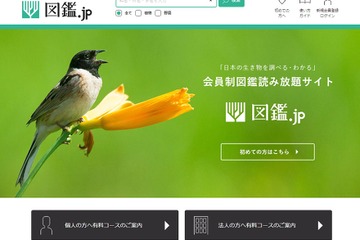 図鑑読み放題サイト「図鑑.jp」教育機関向けに拡充 画像