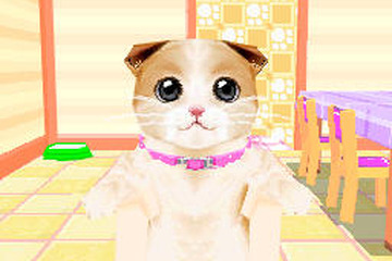 2匹ならではのお世話が楽しめる「かわいい子猫DS3」公式サイト 画像