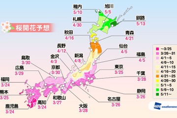 九州、関東などで3/24から桜開花…入学式に満開のエリアは？ 画像