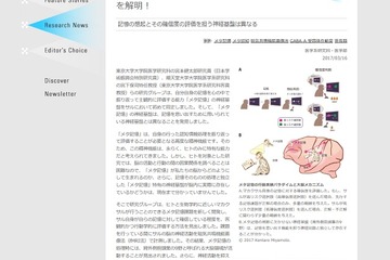 東大・順大研究グループが「メタ記憶」の神経基盤を解明…教育法の開発に期待 画像