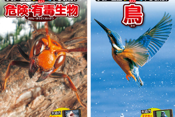 「学研の図鑑LIVEポケット」に「危険・有毒生物」「鳥」新登場 画像