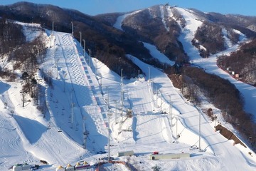 冬季オリンピック観戦ツアー受付開始…フィギュアスケート男子、スキージャンプ女子 画像