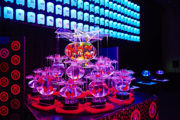 日本橋・二条城に金魚舞う…水族アート展覧会「アートアクアリウム」 画像