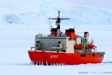 【夏休み2017】ペンギン型ロボや生物の剥製登場「南極・北極展」7/22-8/16 画像