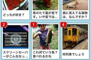 iPhoneで写真を撮って質問できる「コレナニ？」…はてな 画像