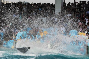 【夏休み2017】シャチのスコールや夜の水族館、限定企画続々…鴨川シーワールド 画像
