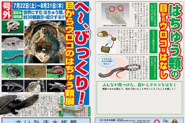 【夏休み2017】さいたま水族館、目からウロコのはちゅう類展7/22-8/31 画像