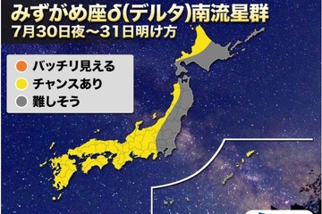 2017年のみずがめ座δ南流星群、NZテカポから生中継7/30 画像