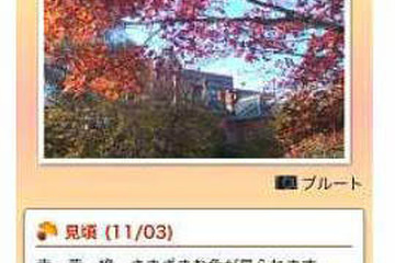 ウェザーニューズ、iPhone／Android向け「紅葉ch.」 画像