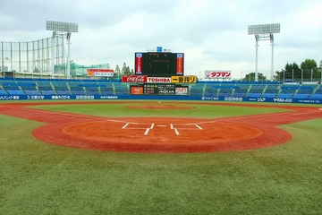 小学生もOK、明治神宮野球場「デザートビュッフェマラソン」申込みスタート 画像