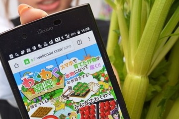 JA「わくわく農園」スマホで仮想農業体験、ホンモノの農産物を提供 画像