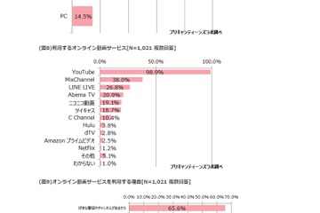 10代女子、テレビは「ながら見」…動画はほぼ全員がYouTube利用 画像