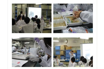 学生と一緒にラボ体験、東京薬科大の実験教室…小中10/28・中高10/14 画像