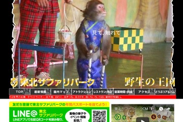 アシカやサルがお手伝い、東北サファリパークがサプライズ支援 画像