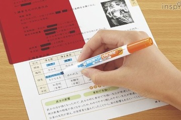 暗記用ペン「チェックル」に文字が読みやすいブライトカラー追加 画像
