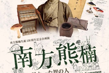 2月22日は「猫の日」　猫を愛した南方熊楠…企画展は3/4まで 画像