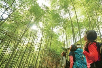 ビギナーも楽しめるハイキングガイド「奥むさし飯能山めぐり」配布 画像