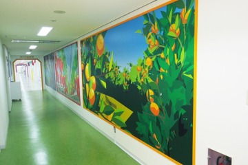 明治、工場見学に「果汁グミの研究所」6/18オープン…静岡・藤枝市 画像