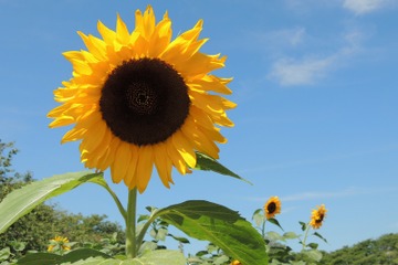 2018年夏休み情報おまとめ便＜2018/6/4-10掲載＞ 画像