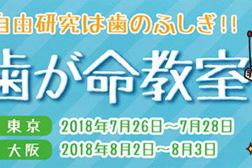 【夏休み2018】作って学べる「歯」の自由研究、模型絵本づくりなど 画像