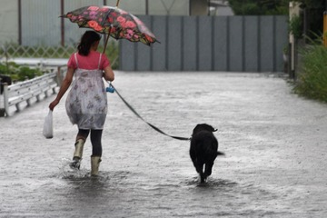 西日本で記録的な大雨、大阪や京都で休校相次ぐ…各地の判断基準 画像