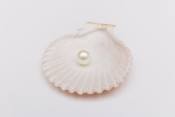 7月11日は「真珠記念日」ミキモト輩出・三重県ニュースおまとめ便 画像