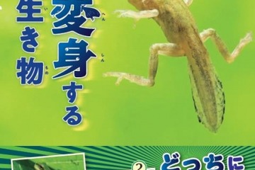どんな姿に変身する？学研の図鑑LIVEハンディタイプ7/20新刊 画像