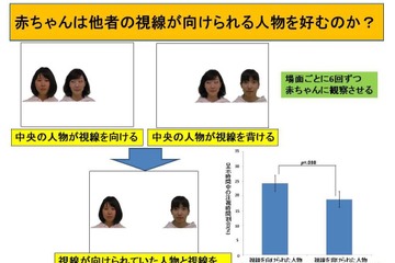 赤ちゃんの好み、影響するのは他者の視線…京大が研究成果 画像