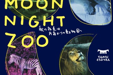 ゾウのお宅公開など、天王寺動物園「秋のナイトZOO」10月 画像