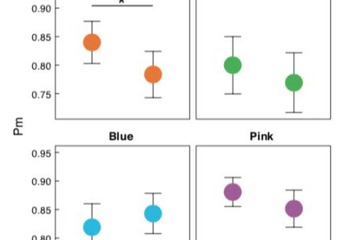 柑橘系の匂いはオレンジ色が覚えにくくなる、学習教材への期待も 画像