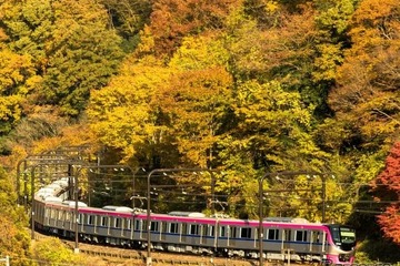高尾山からの帰りは座って楽々、京王「Mt.TAKAO号」11月に運行 画像
