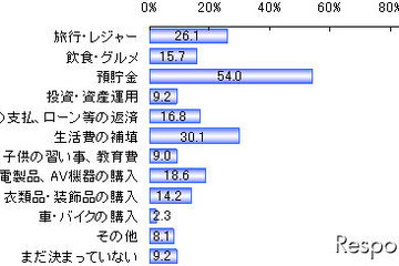 冬のボーナス、車・バイクの購入は2.3％で最少…楽天リサーチ 画像