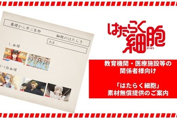 アニメ「はたらく細胞」、教育機関・医療施設に向け素材の無償提供開始 画像