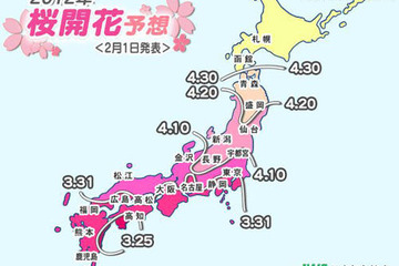桜の開花、平年より遅いか平年並みで東京は3/30頃 画像