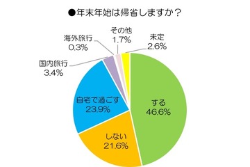 年末年始の帰省・お出かけ8割は「車」使用…9割はあおり運転不安視 画像