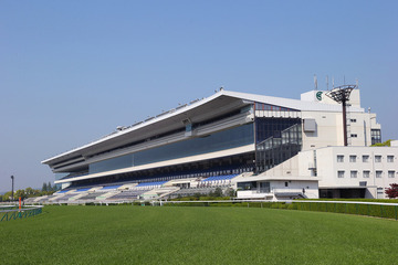 親子で京都競馬場のバックヤードを走る「KYOTO競馬RUN」4/7 画像