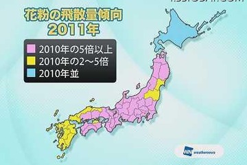 2011年の花粉量予想、昨季比東京8倍、関西10倍超も 画像