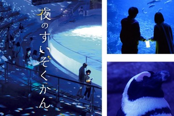 【GW2019】夜のいきもの観察・解説ツアーなど…京都水族館4/27-5/6 画像