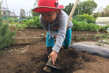 【夏休み2019】親子で収穫＆食育1日体験「ベジトレ」7/27、8/4横浜 画像