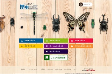調べる＋記録する「デジタルWONDA じぶんの昆虫図鑑」 画像