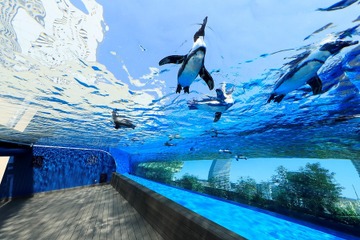 サンシャインシティ、都民の日・埼玉県民の日に割引 画像